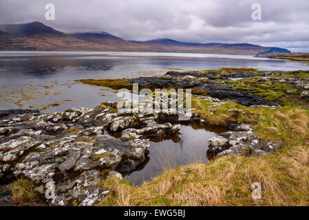 Loch na Keal, vicino Kellan, Isle of Mull, Ebridi, Argyll and Bute, Scozia Foto Stock