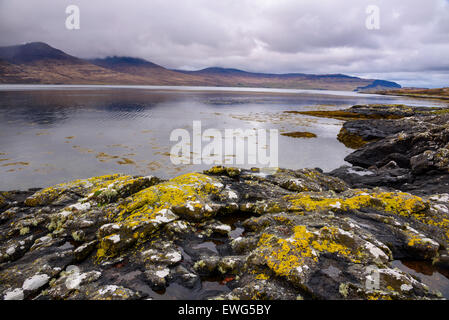 Loch na Keal, vicino Kellan, Isle of Mull, Ebridi, Argyll and Bute, Scozia Foto Stock