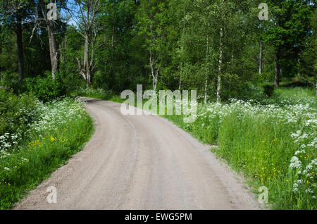 Strada di ghiaia alla svedese di campagna circondata da fiori estivi Foto Stock