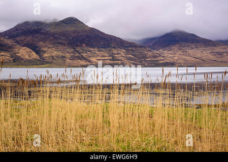 Loch na Keal, vicino Kellan, Isle of Mull, Ebridi, Argyll and Bute, Scozia Foto Stock