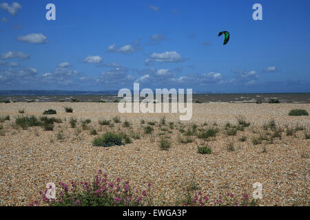 Il Greatstone spiaggia di ciottoli a Dungeness Riserva Naturale Nazionale, nel Kent, England, Regno Unito Foto Stock