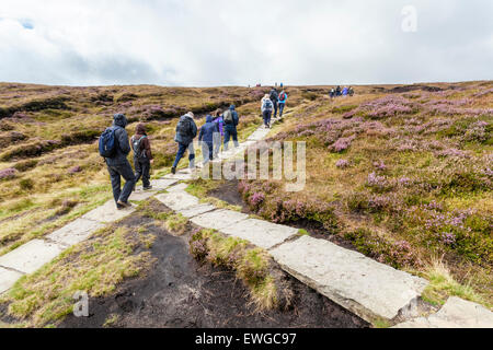 Un folto gruppo di escursionisti escursionismo su un percorso di brughiera, Kinder Scout, Derbyshire, Inghilterra, Regno Unito. Il sentiero di pietra è il controllo erosione su il moro. Foto Stock