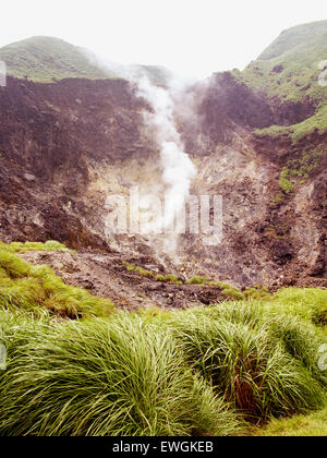 Yangminghshan National Park. Taipei. Taiwan. Foto Stock