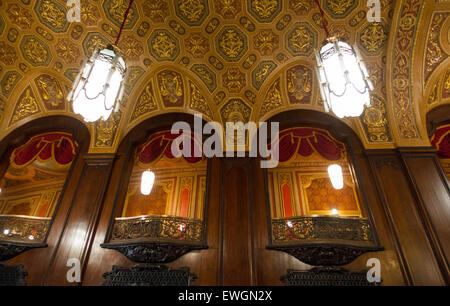 Kings Theatre tour Brooklyn New York City Foto Stock