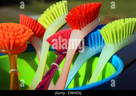 Vivacemente colorato piatto spazzole di lavaggio Foto Stock