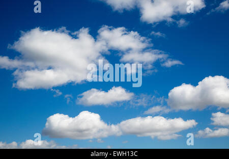 Cielo blu e bianchi e soffici nuvole cumulus su Suffolk, Inghilterra, Regno Unito Foto Stock