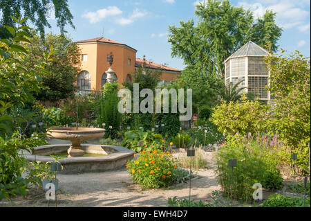 Padova è Orto Botanico, il più antico del mondo accademico giardino botanico, con (a destra) Serra di Goethe palm Foto Stock