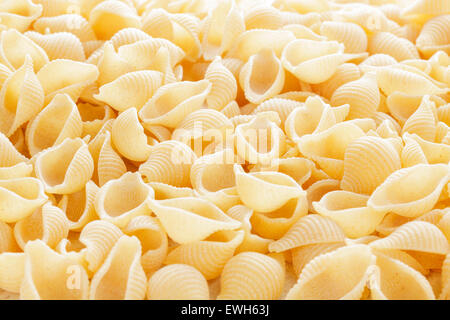 Pasta Conchigliette gusci Foto Stock