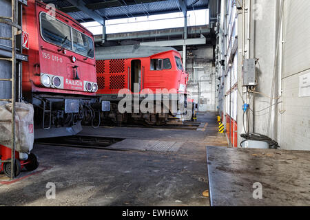 Neuseddin, Germania, treno merci locomotiva elettrica nel DB lavori di manutenzione Neuseddin Foto Stock