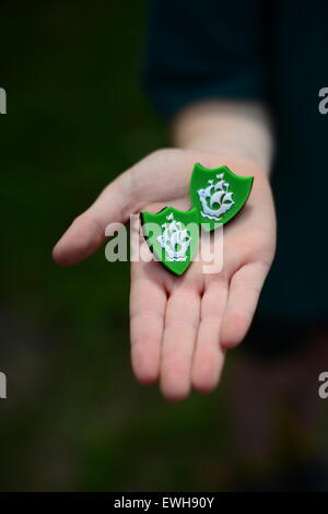 Un ragazzo azienda Blue Badge di Pietro. Immagine: Scott Bairstow/Alamy Foto Stock