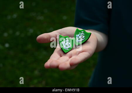 Un ragazzo azienda Blue Badge di Pietro. Immagine: Scott Bairstow/Alamy Foto Stock