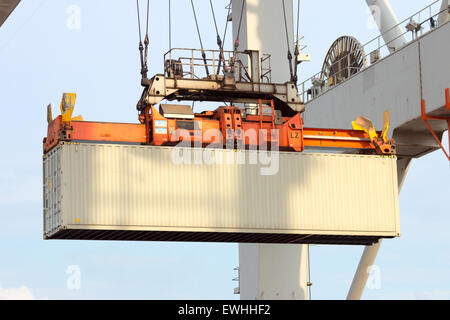 Sea container sollevato da una gru del porto Foto Stock