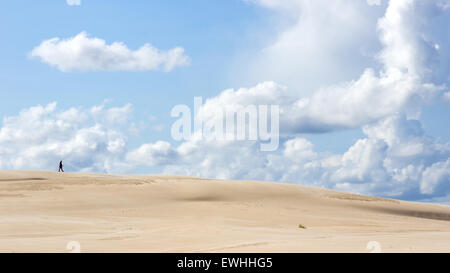 Le dune in movimento nel Parco Nazionale di Slowinski, Polonia Foto Stock