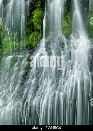 Panther Creek Falls. Washington Foto Stock