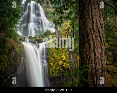 Falls Creek Falls, Washington. Foto Stock