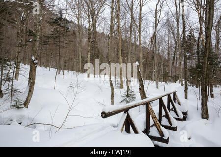 Piedi ponte lungo l'Appalachian Trail (Beaver Brook Trail) nella tacca parente dei Monti bianchi, New Hampshire USA durante il t Foto Stock