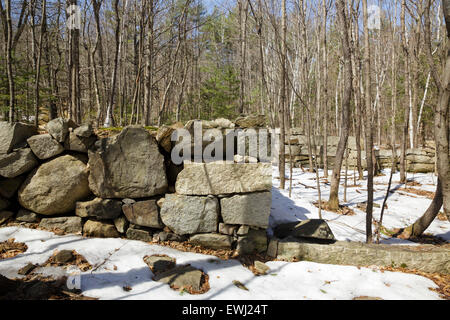 I resti di un granito abbandonati fondazione risalgono al XIX secolo - XX secolo insediamento di montagna nella foresta di Pawtuckaway St Foto Stock