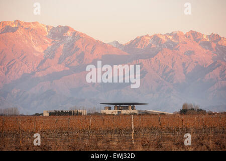 Mendoza. Il 24 giugno 2015. Immagine presa il 24 giugno 2015 mostra l'edificio principale del O. Fournier cantina in La Consulta città, provincia di Mendoza, 1,170km della città di Buenos Aires, Argentina. © Martin Zabala/Xinhua/Alamy Live News Foto Stock