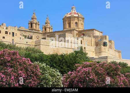 La collina cattolica Cattedrale di San Paolo (fondata nel 12 ° secolo) presso la città fortificata medievale murata di Mdina, Malta Foto Stock