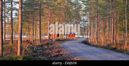 Una strada di ghiaia, alberi di pino in tarda serata di lit. Lato sinistro, alcune piccole rosso cabine di legno lungo la strada. L'autunno. Foto Stock