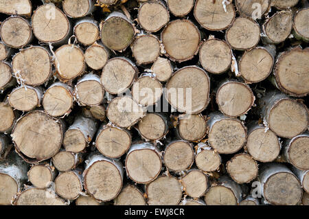 Immagine della legna da ardere secca prevista in un heap Foto Stock