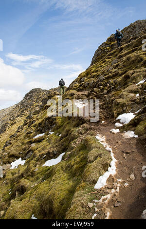 Bordo di estensione arete e Helvellyn picco di montagna, Lake District, Cumbria, England, Regno Unito Foto Stock