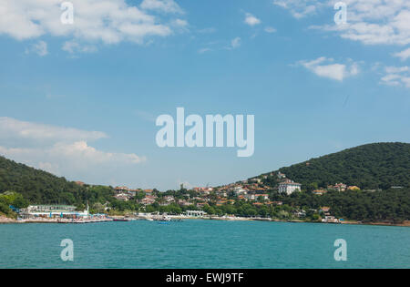 Vista dei principi rurale isola di Burgazada hillside con lussuose abitazioni sulla costa Foto Stock