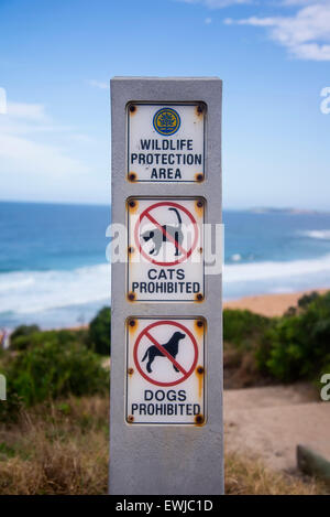 Dettaglio del Turimetta beach in Australia Foto Stock