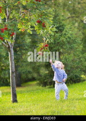 Bella bionda curly bambina giocando in un soleggiato autunno parco sotto una bacca rossa tree Foto Stock