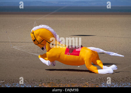 Arancione gonfiabile Cavallo kite galopping sulla spiaggia a Morecambe, Lancashire, UK Giugno, 2015. Inflatables Pegasus galopping cavallo Peter Lynn kite al Catch the Wind Kite Festival un evento annuale sul lungomare di Morecambe, quando per tutta la giornata i cieli sono pieni delle forme, colori e creazioni più spettacolari degli animali. Foto Stock
