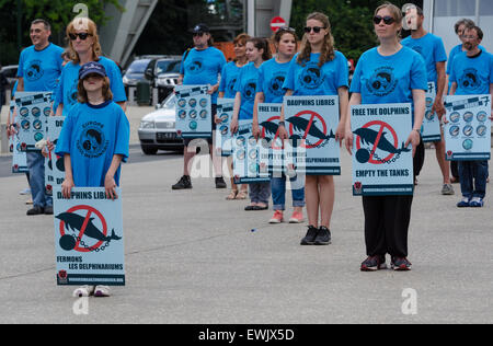 Bruxelles, Belgio. Il 27 giugno, 2015. I diritti degli animali organizzazione "mordere' call per la chiusura della dolphinaria in Europa e in altre parti del mondo, le organizzazioni che richiedono la chiusura del dolphinaria in Bruges - Belgio e tutti gli altri dolphinaria in Europa come Loro Parque a Tenerife, Kölmarden in Svezia, il Marineland di Antibes e il Parco Astérix in Francia e il Dolfinarium Harderwijk nei Paesi Bassi. © Jonathan Raa/Pacific Press/Alamy Live News Foto Stock