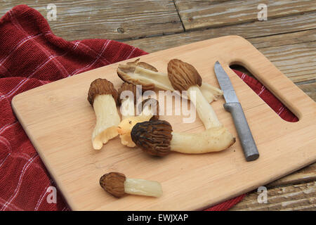 Wild funghi morale su un tagliere Foto Stock
