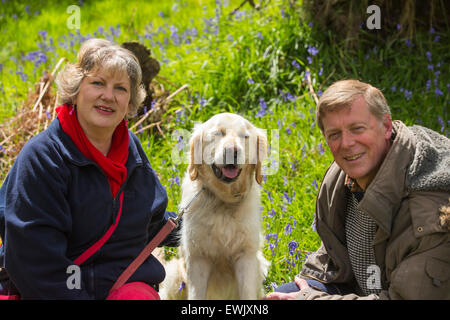 Un Golden Retriever cane e proprietari in Bluebells in Jiffy Knotts legno vicino a Ambleside, Lake District, UK. Foto Stock