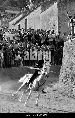 Sedilo,Sardegna,l'Italia, 6/7/2013.Famosa Ardia tradizionale corsa di cavalli hanno luogo ogni anno in luglio intorno a San Costantino chiesa Foto Stock