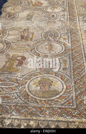 Un mosaico di rovine Romane di Volubilis, casa di Dioniso, Meknes regione, UNESCO, Marocco, Africa Foto Stock