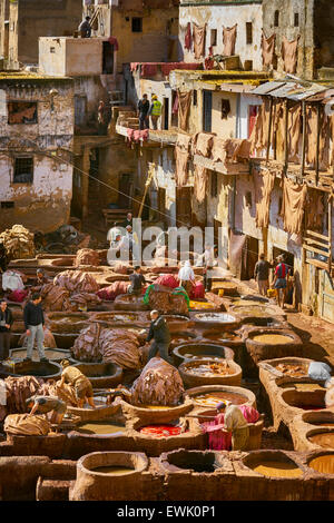 In pelle di conceria Chouwara, Medina di Fez, Marocco, Africa Foto Stock
