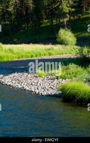 Forcella centrale John giorno fiume, Dunstan Homestead preservare, Oregon Foto Stock