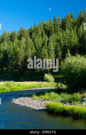 Forcella centrale John giorno fiume, Dunstan Homestead preservare, Oregon Foto Stock