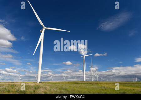 Fattoria eolica turbine erba verde e blu cielo, nello stato di Washington, Stati Uniti Foto Stock