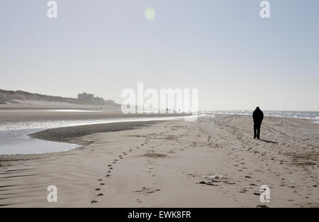 Single person passeggiando lungo la spiaggia vicino Bergen aan Zee, Olanda del Nord, Paesi Bassi Foto Stock