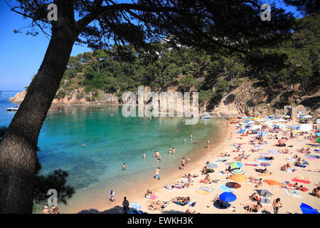 Aiguablava spiaggia vicino a Begur in Costa Brava Catalogna, Europa Foto Stock