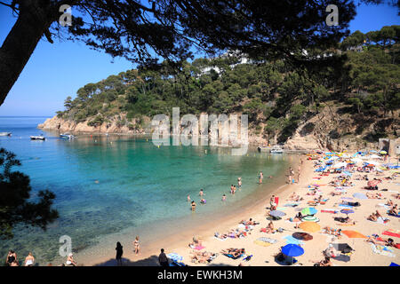 Aiguablava spiaggia vicino a Begur in Costa Brava Catalogna, Europa Foto Stock