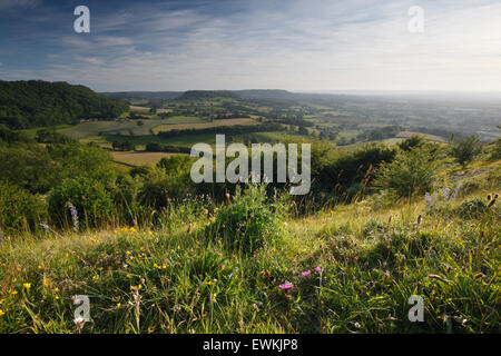 Vista dal picco Coaley verso la camma lungo il basso. Frocester Hill Riserva Naturale. Il Cotswolds. Gloucestershire. Regno Unito. In Cotswold Foto Stock