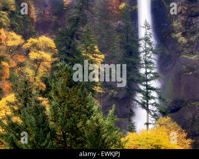 Cascate Multnomah con Autunno a colori. Columbia River Gorge National Scenic Area, Oregon Foto Stock