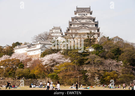 Il castello di Himeji in Giappone. In primo piano le persone godendo e viewign la fioritura dei ciliegi nel spingtime con il castello bianco torreggianti sopra di loro. Foto Stock