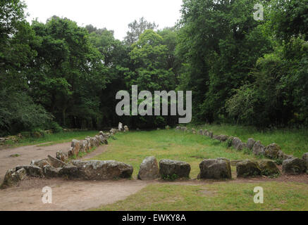 Le Quadrilatere vicino alla principale Alignements a Carnac, Brittany. Nelle vicinanze si trova il Geant du Manio, un magalith o pietra permanente. Foto Stock