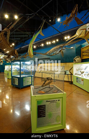 Oceano preistorico Hall, Dinosaur Resource Center, Woodland Park, COLORADO, Stati Uniti d'America Foto Stock