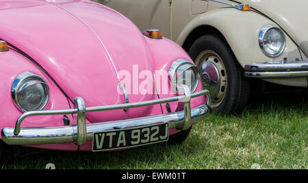 Di colore rosa e beige, Classico Volkswagen Maggiolini schierate al Volksfest Bristol. Foto Stock