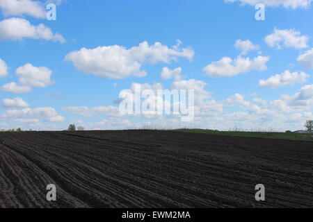 Terreni arati pronto per piantare patate nel villaggio di primavera Foto Stock