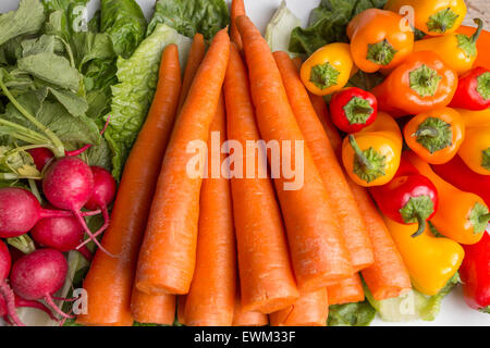 Le carote fresche, lattuga, peperoni e ravanelli su legno stagionato sfondo. Foto Stock